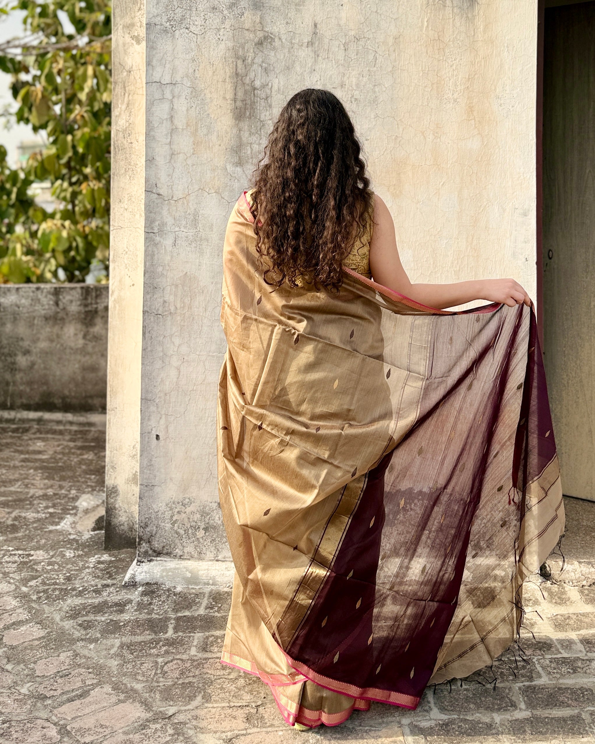 Bedmi | Brown Maheshwari Saree