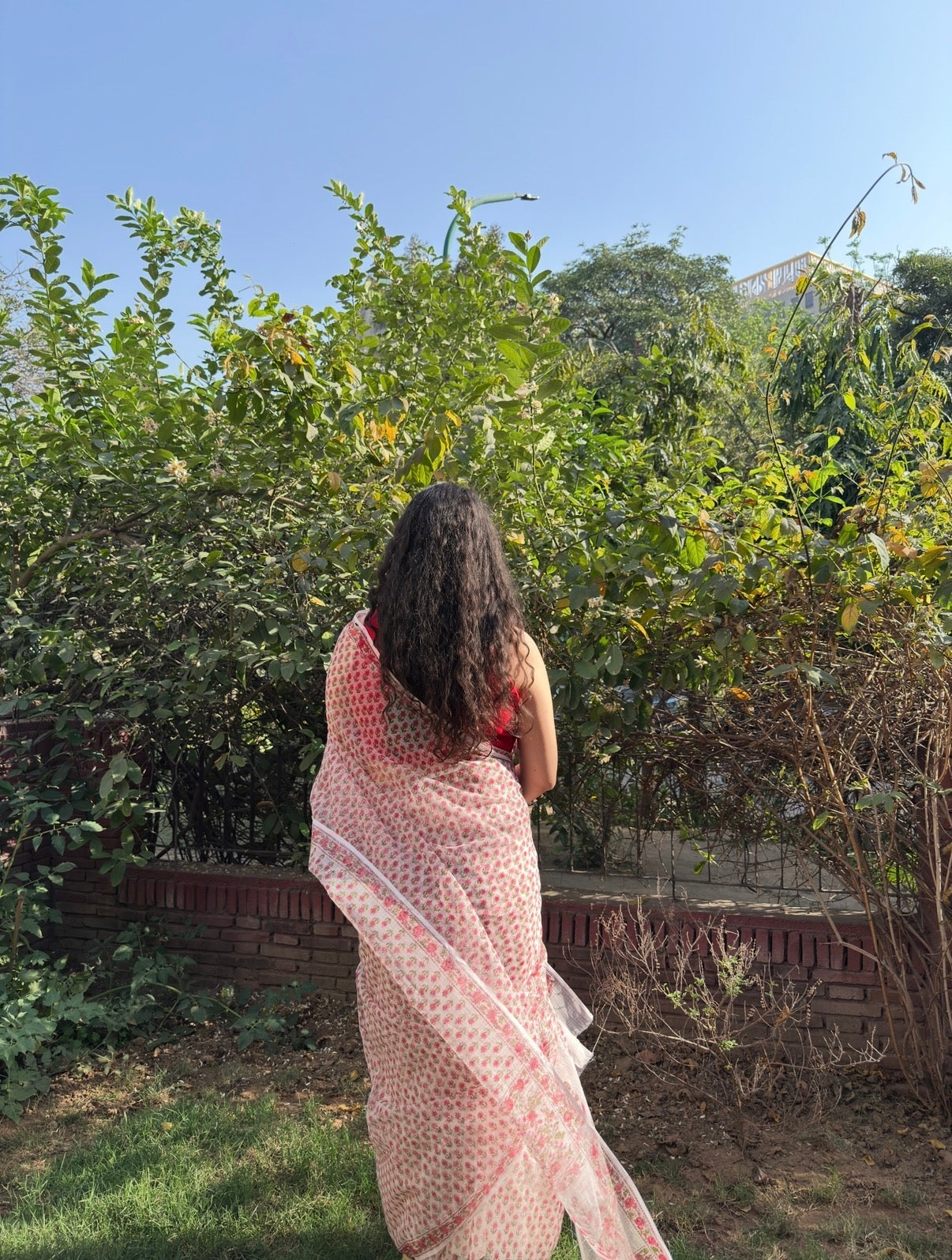 Phool | Printed Kota Doria Saree