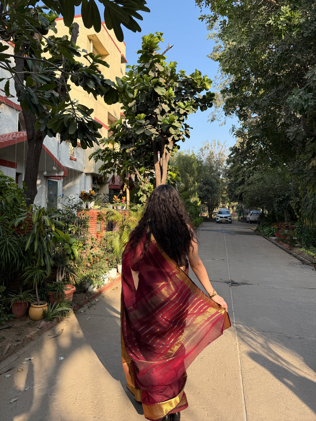 Moringa Cotton Saree