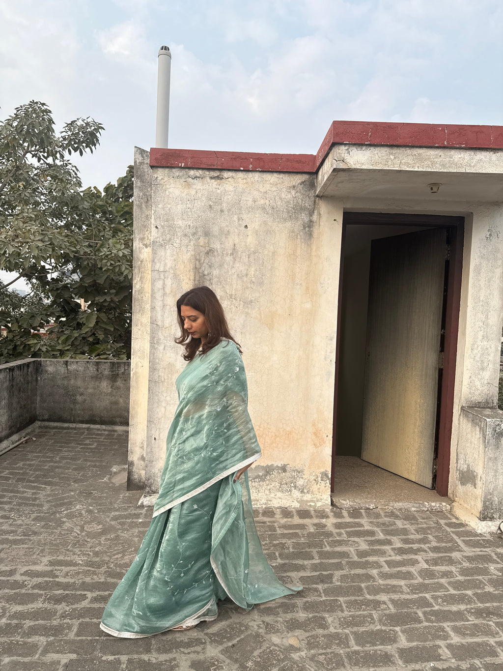 Sia | Green Viscose Organza & Silk Zari saree