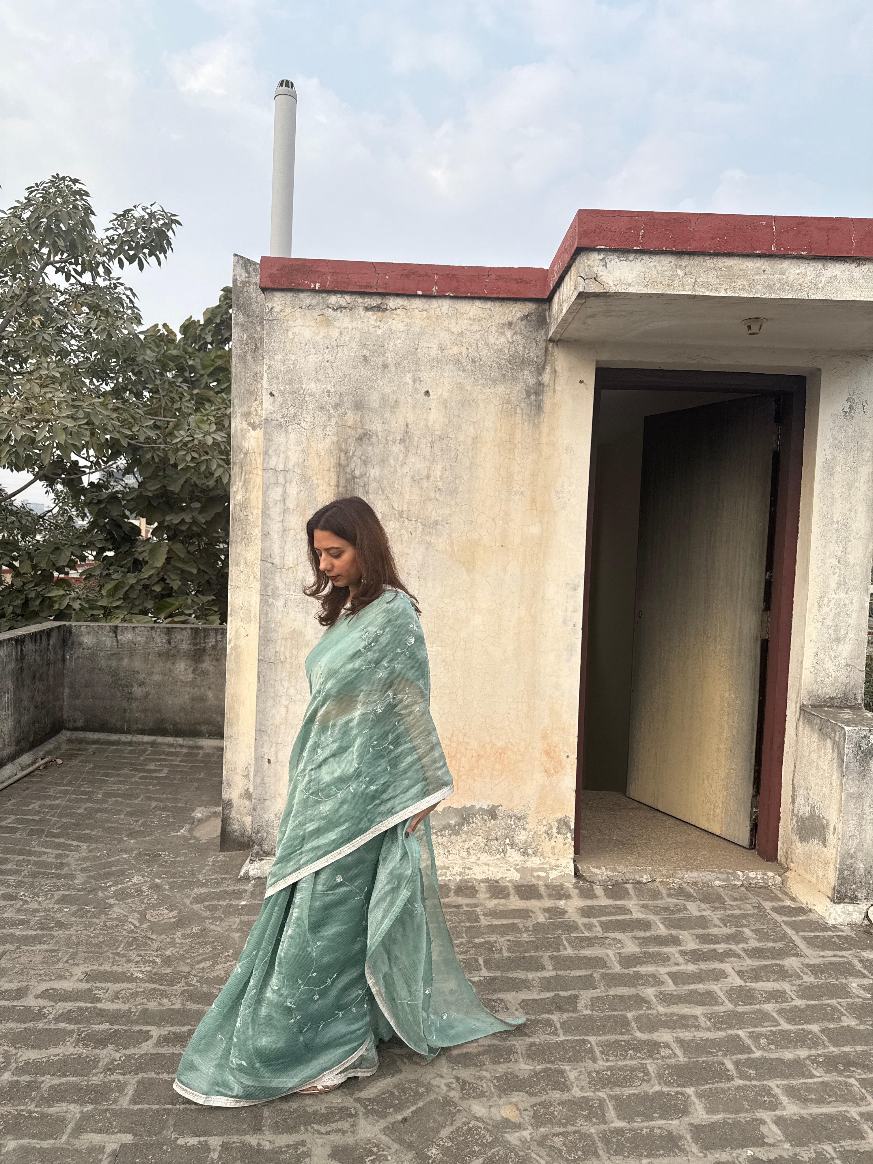 Sia | Green Viscose Organza & Silk Zari saree