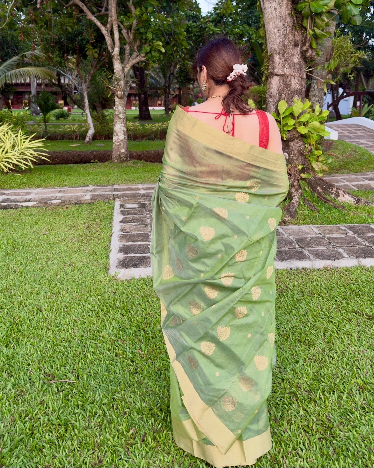 Amli | Olive Green Chanderi Silk Saree