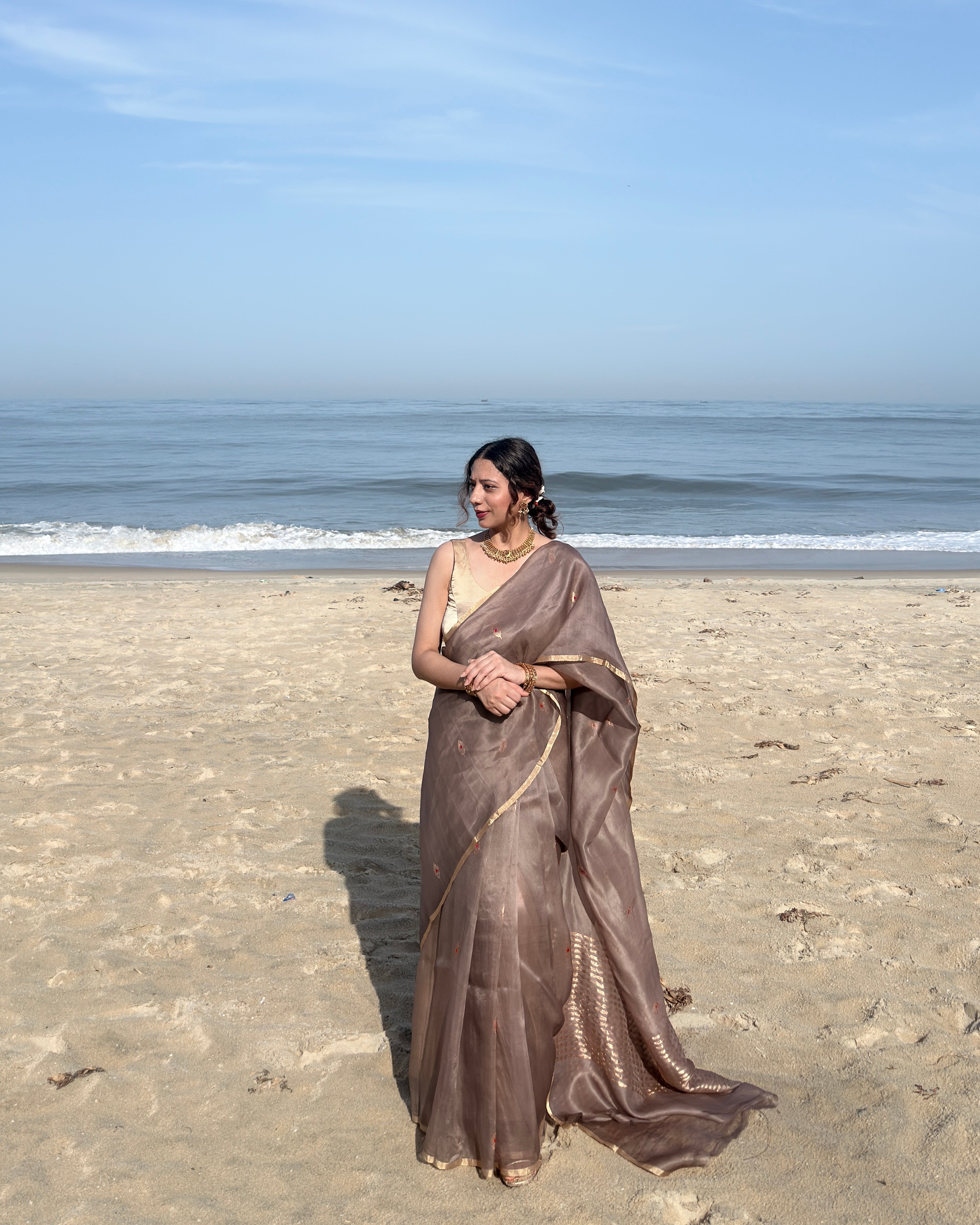 Naina | Brown Handloom Banarasi Kora Silk Saree