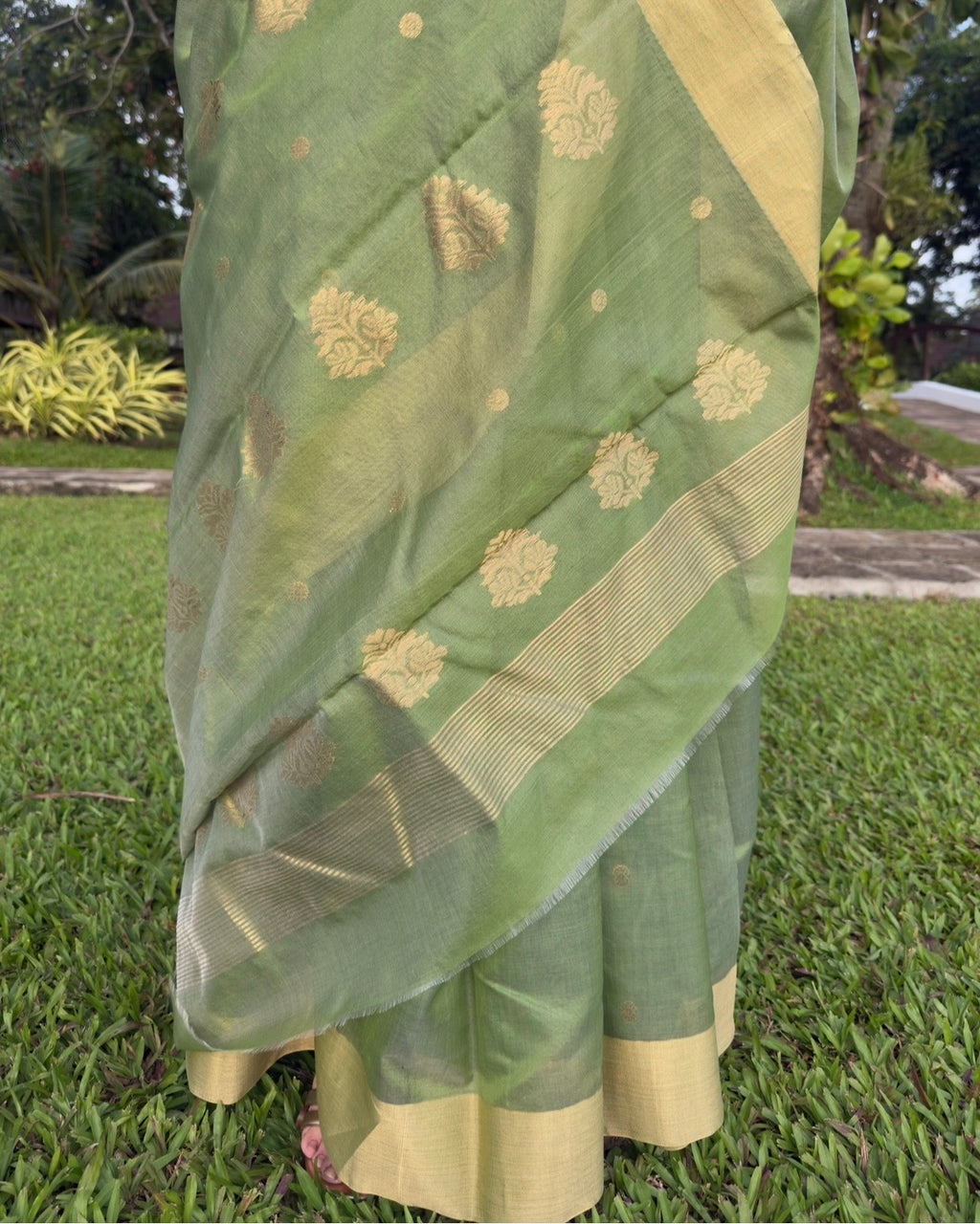 Amli | Olive Green Chanderi Silk Saree