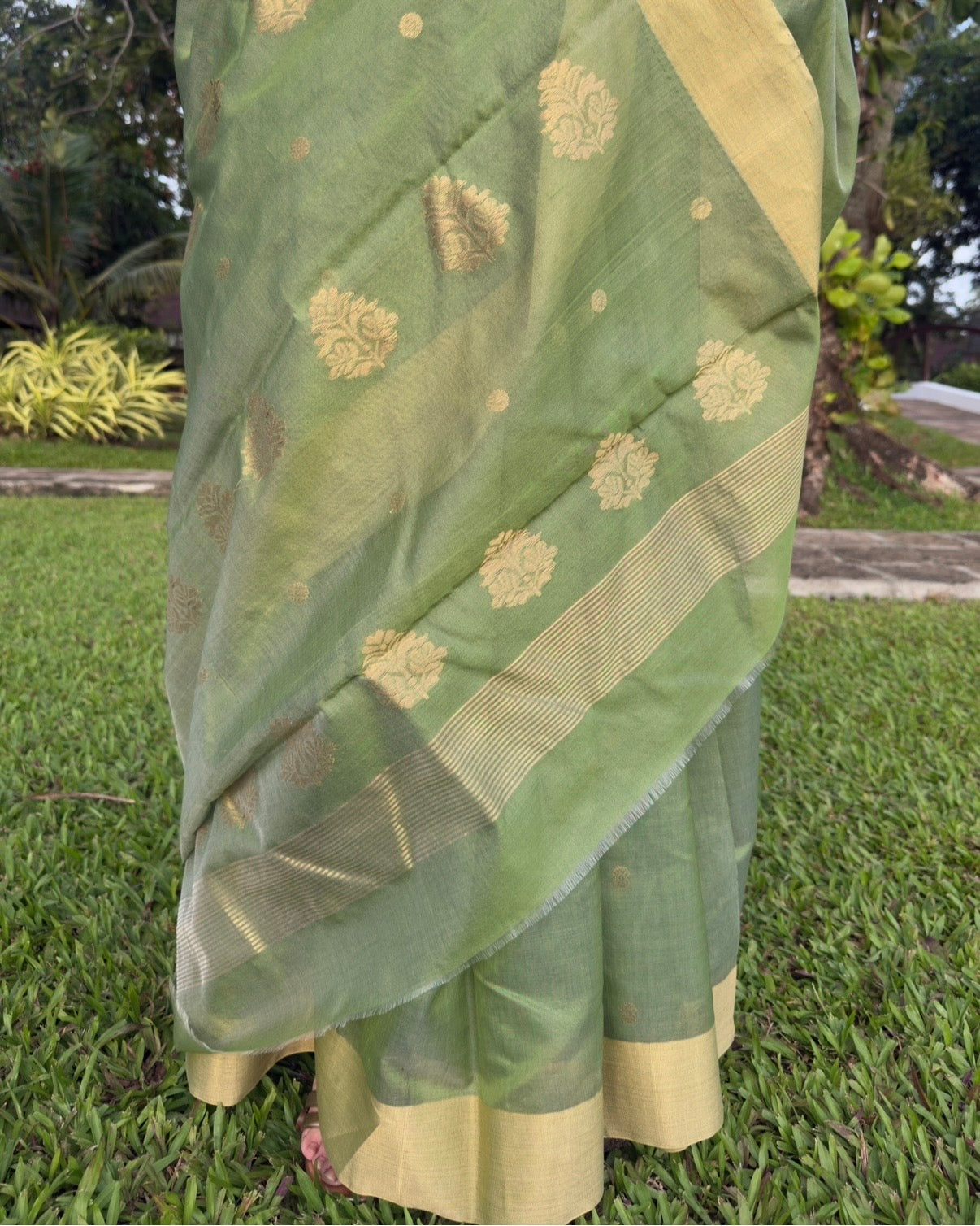 Amli | Olive Green Chanderi Silk Saree