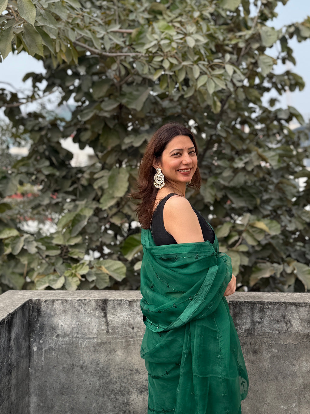 Teekhi | Green Viscose Organza Hand Embroidered saree