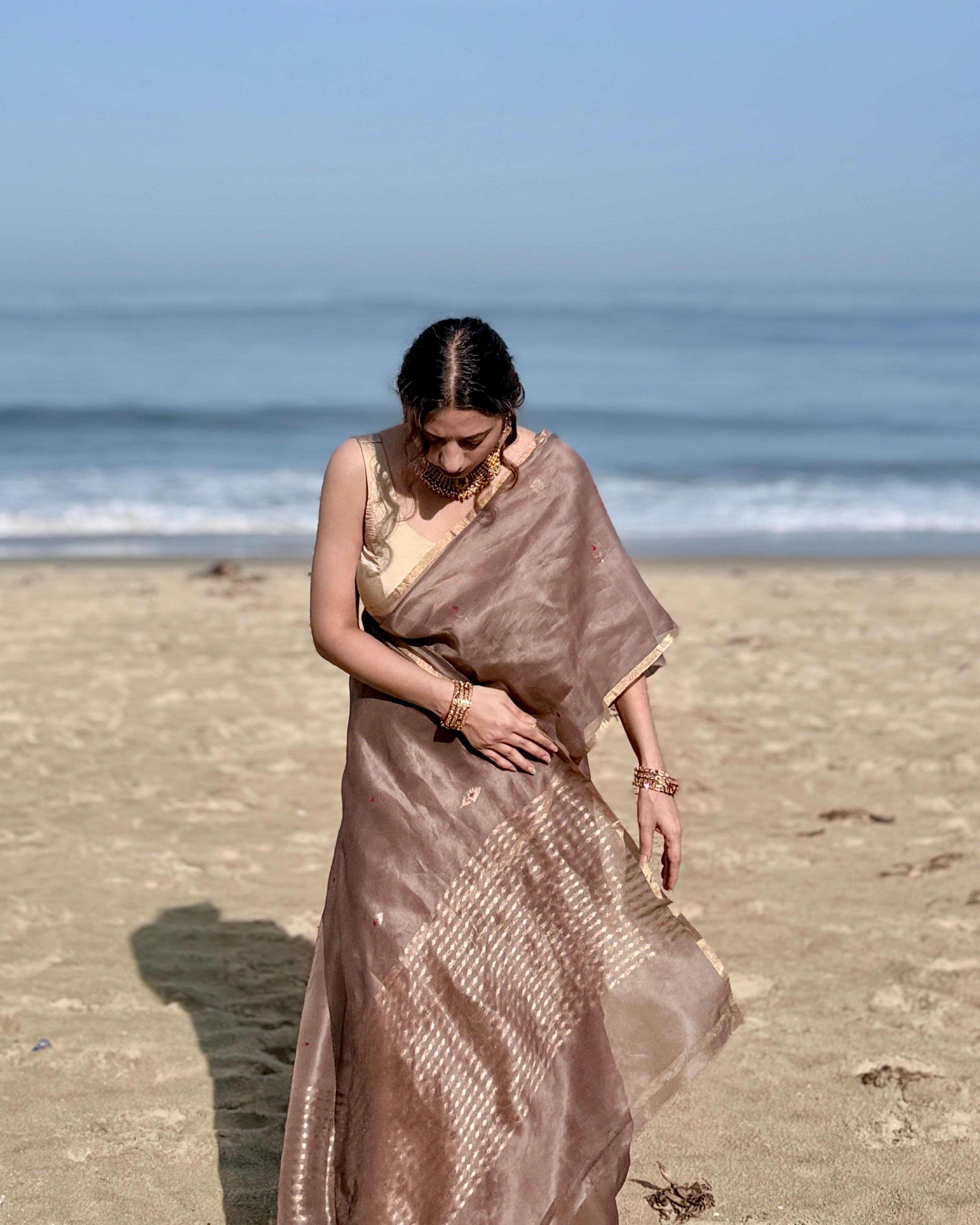 Naina | Brown Handloom Banarasi Kora Silk Saree