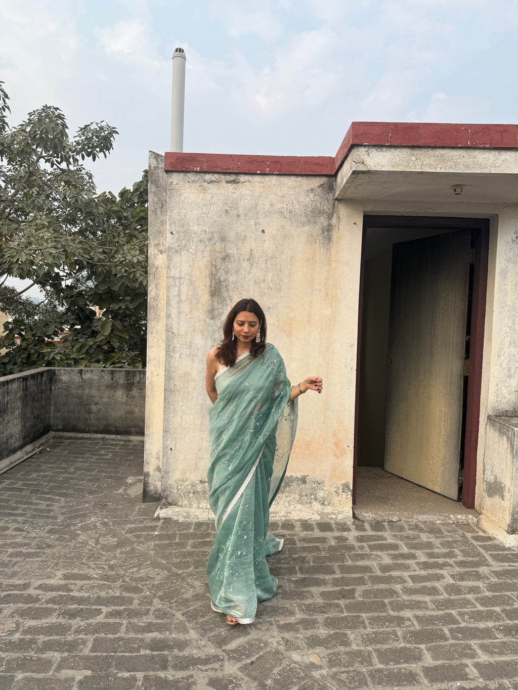 Sia | Green Viscose Organza & Silk Zari saree