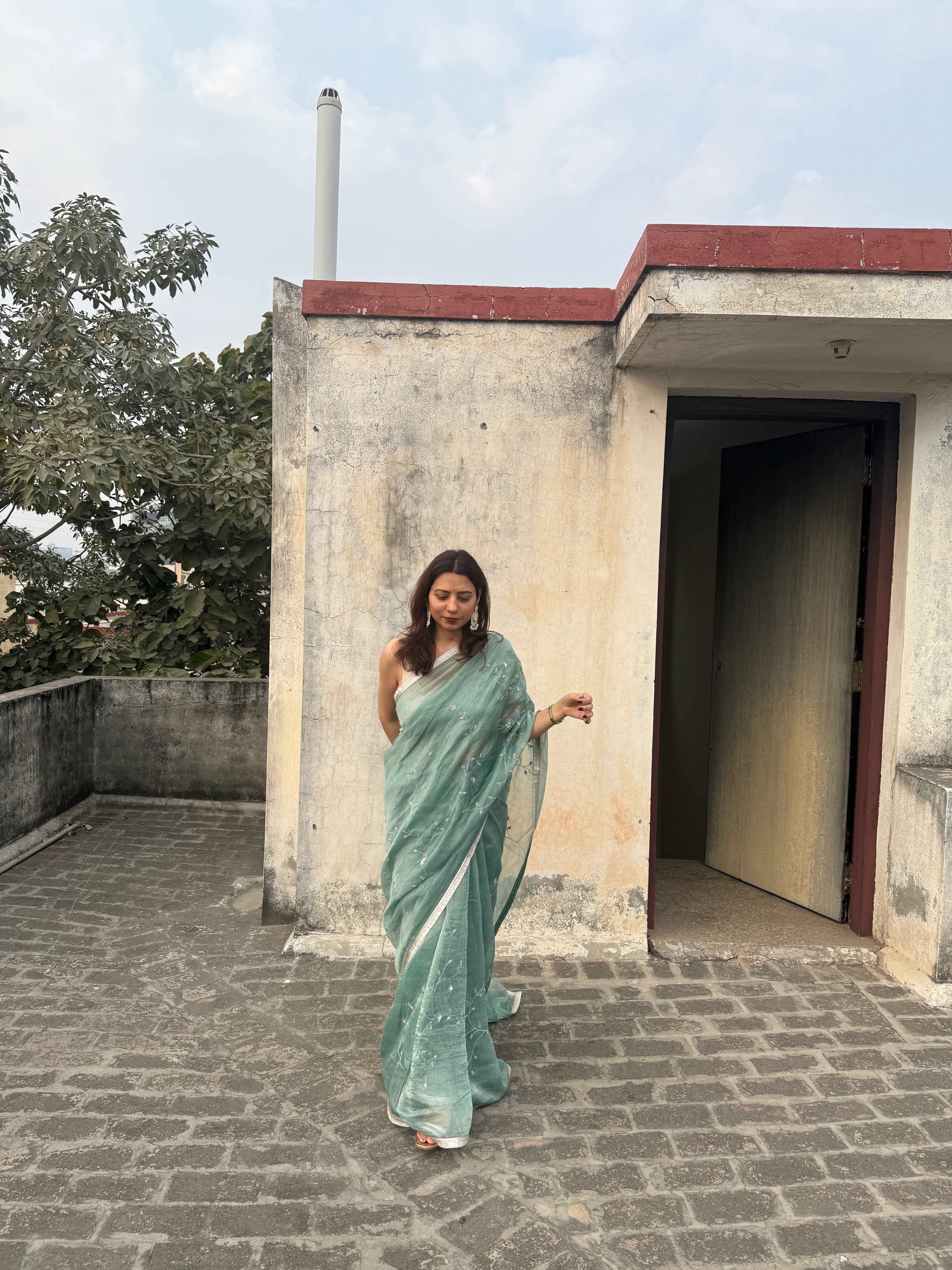 Sia | Green Viscose Organza & Silk Zari saree