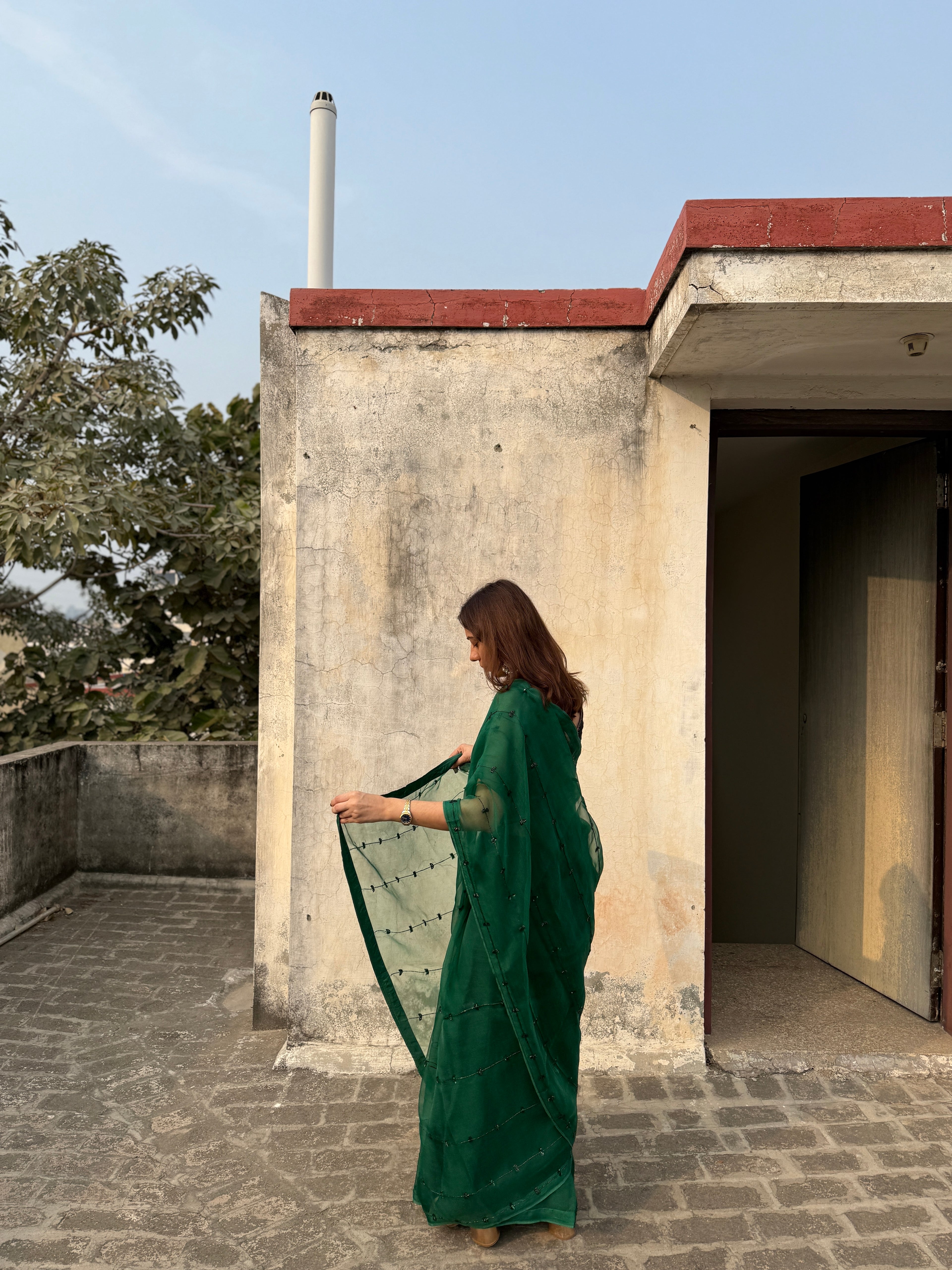 Teekhi | Green Viscose Organza Hand Embroidered saree