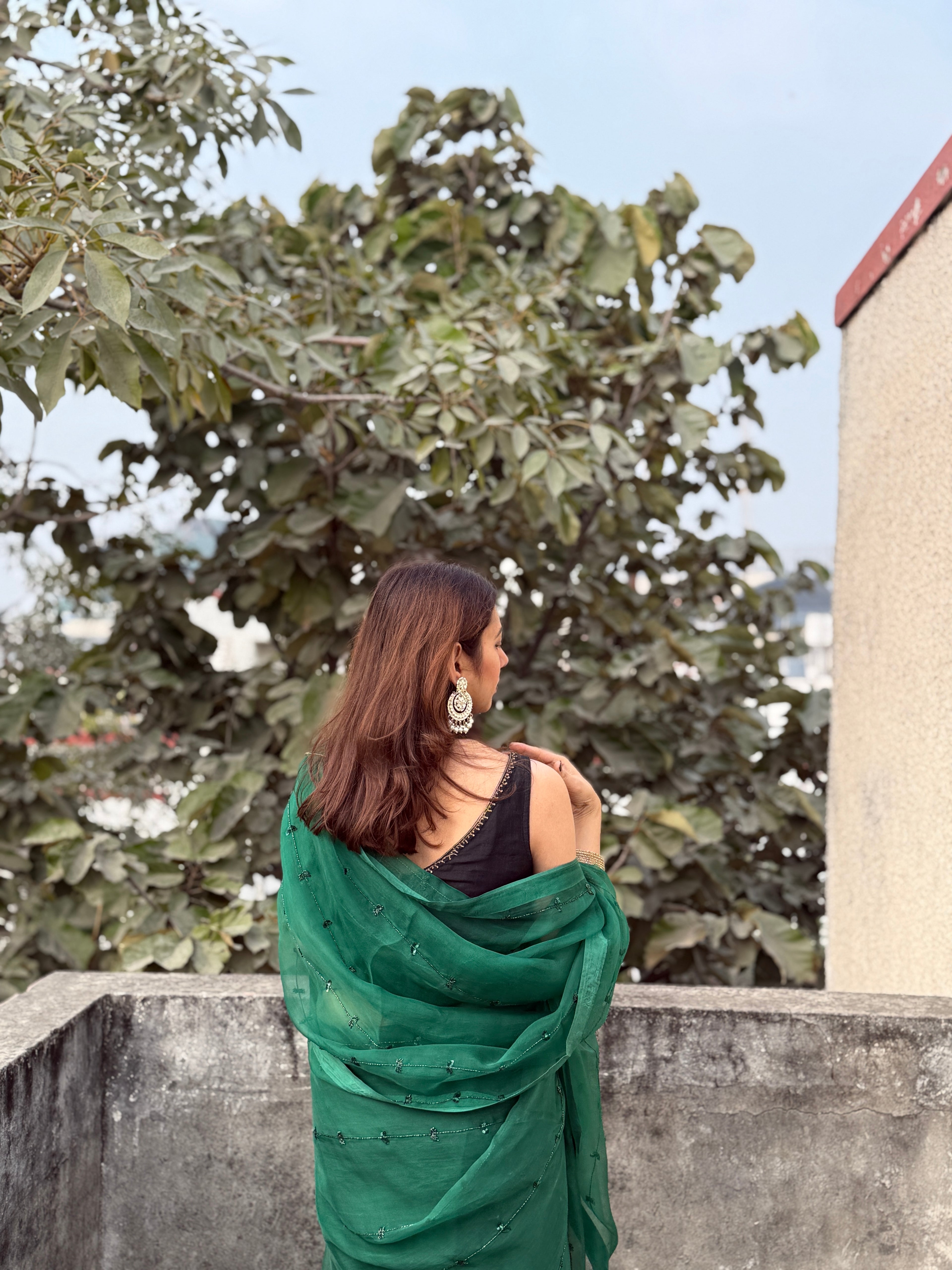 Teekhi | Green Viscose Organza Hand Embroidered saree