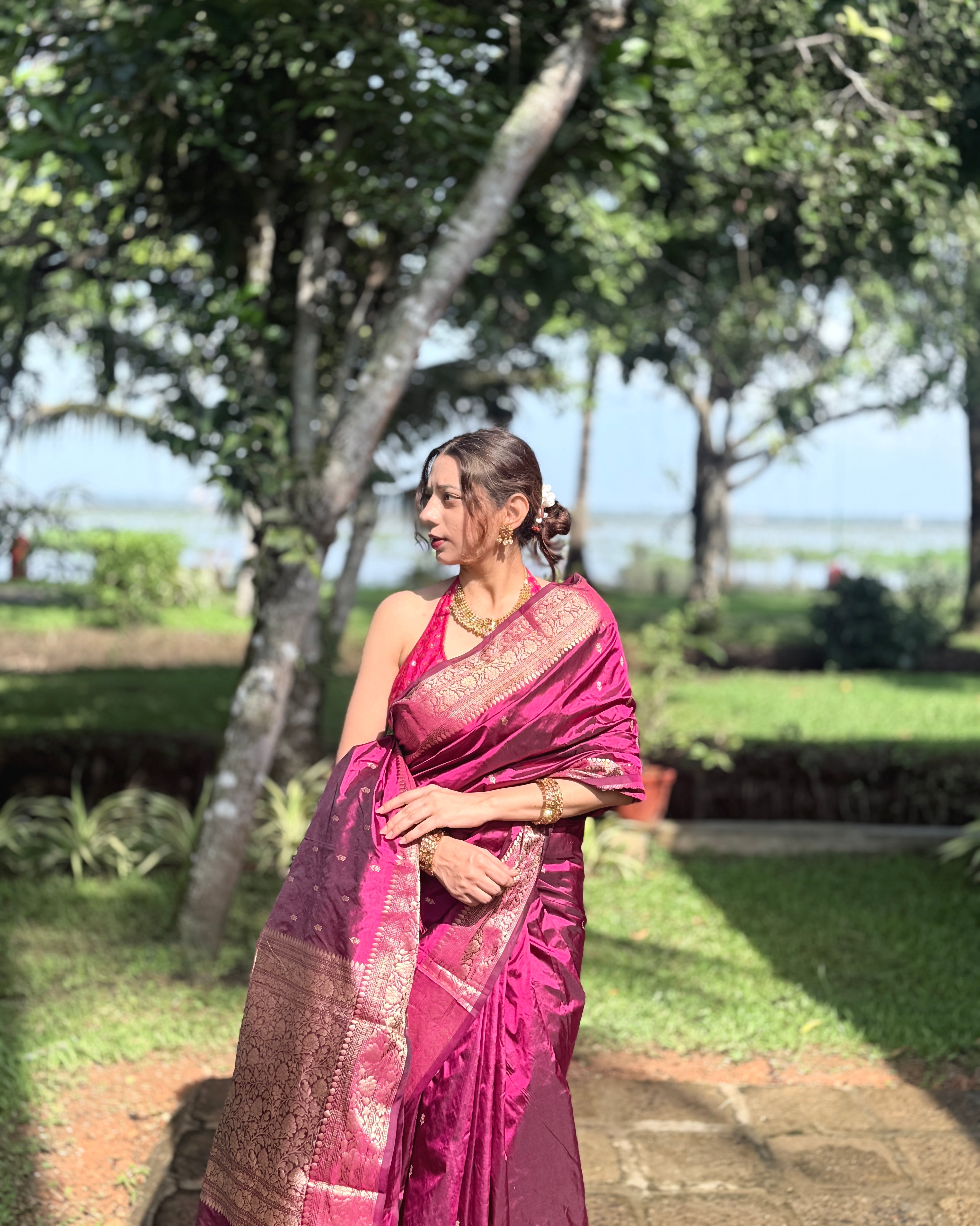 Niloufer | Plum Handloom Banarasi Katan Silk Saree