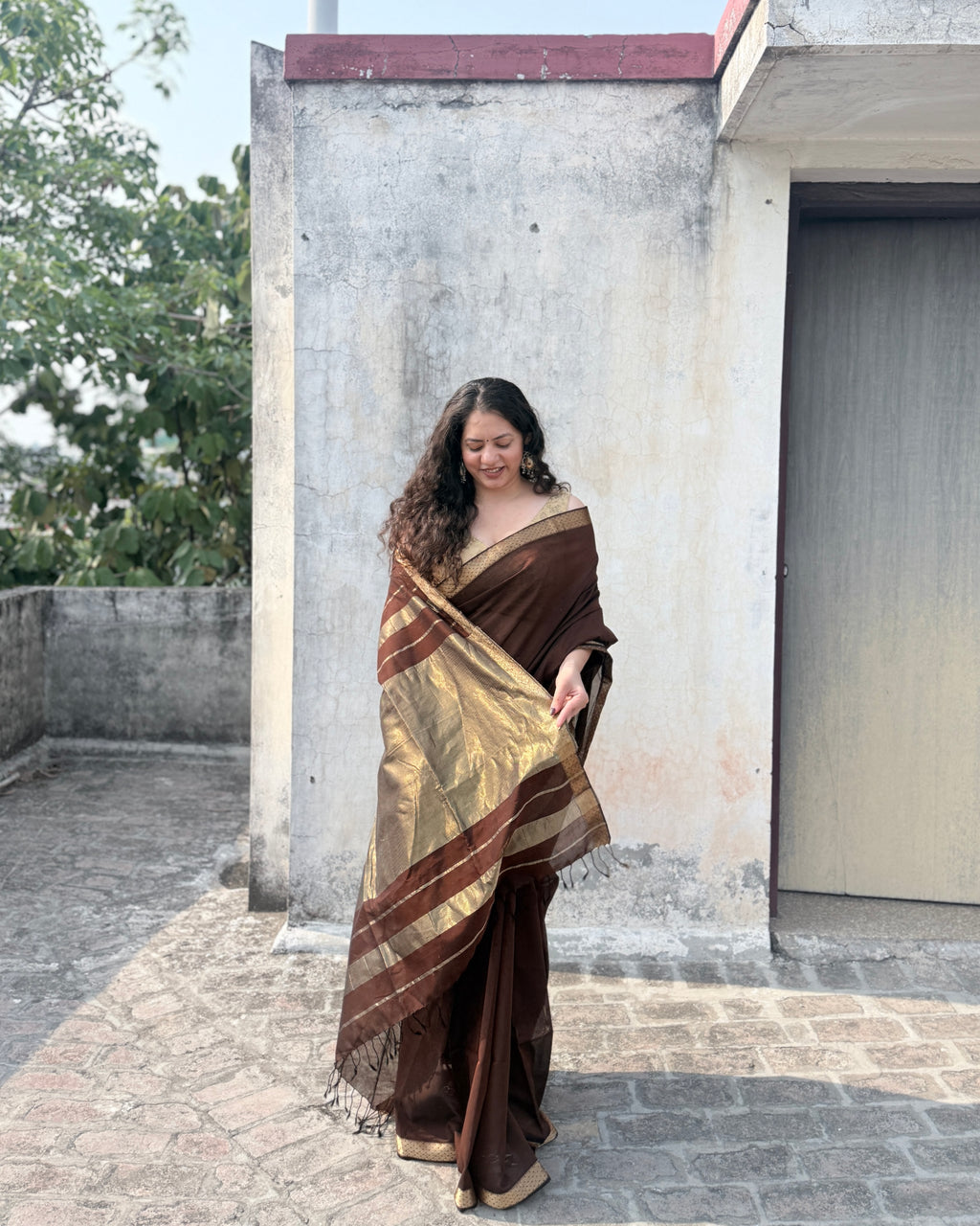 Kashish | Cocoa Maheshwari Cotton Saree