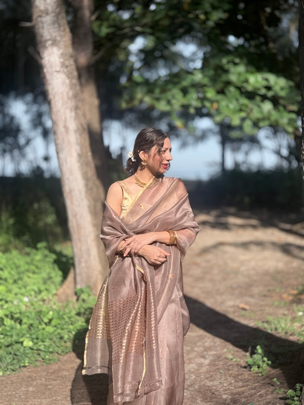 Naina | Brown Handloom Banarasi Kora Silk Saree
