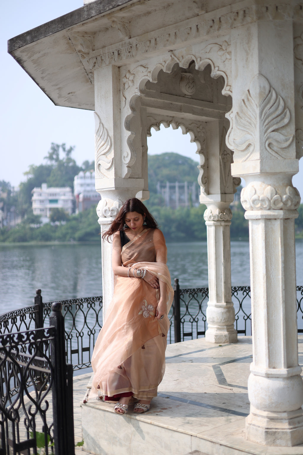 Tan Brown Ombre Embroidered Kota Silk Saree