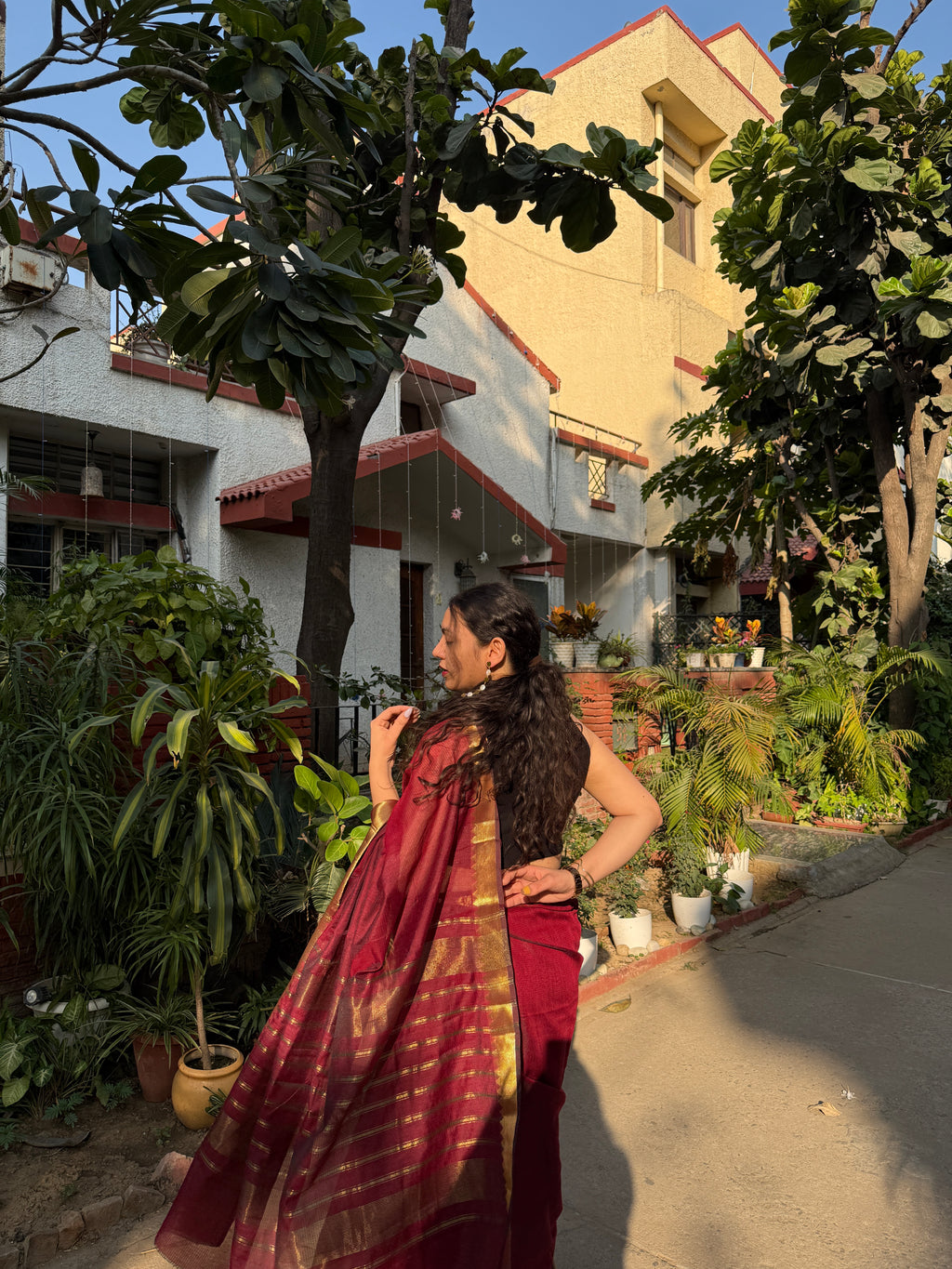 Moringa Cotton Saree