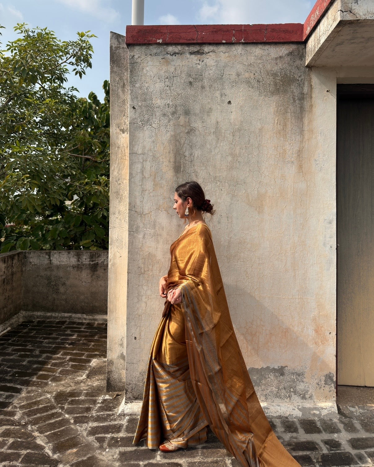 Rekha | Chanderi Tissue Saree