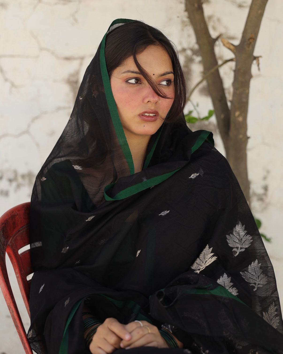 Chinar | Black Chanderi Saree with Silver Booti