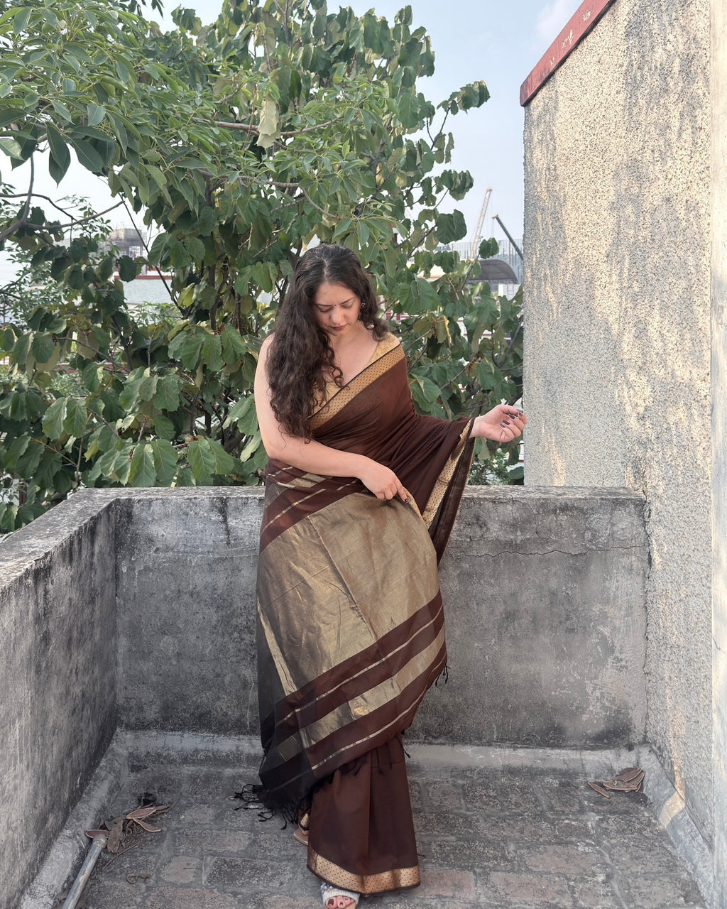 Kashish | Cocoa Maheshwari Cotton Saree